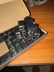 Starlink RJ45 Gigabit Coupler - 3