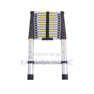 3.8m Aluminum Telescopic Ladder - Heavy Duty