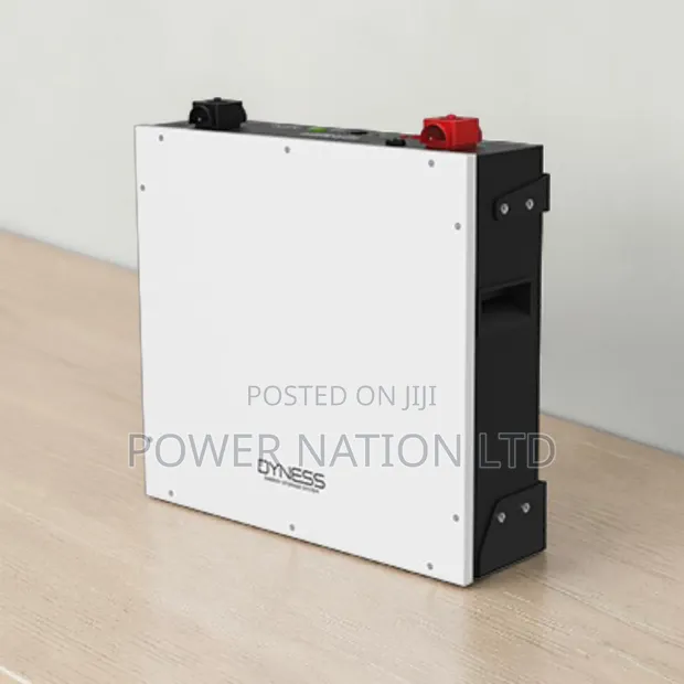 5kWh Dyness Lithium Battery - 1