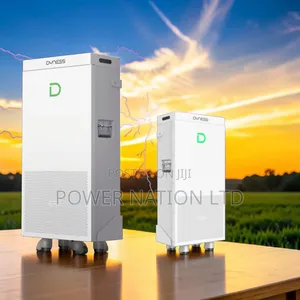 16kWh Dyness Lithium Battery - PowerBrick Series