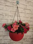 Artificial Flowers with Vases - 1