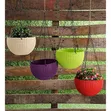 Artificial Flowers with Vases - 2