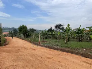 One Acre Commercial Land for Sale in Gombe