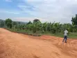 One Acre Commercial Land for Sale in Gombe - 2
