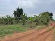 One Acre Commercial Land for Sale in Gombe - 3