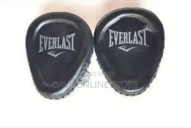 Everlast Punch Mitts / Focus Mitts - 1