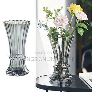 Minimalist Glass Vase for Hydroponic Flowers - Multicolor