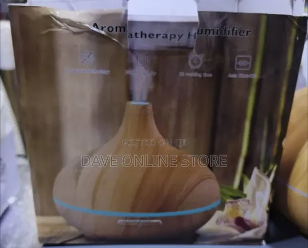 Aroma Therapy Humidifier - 1