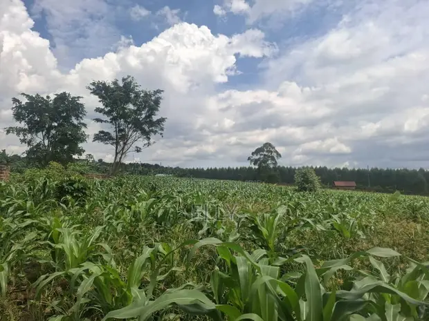 Land for Sale in Wakiso - 80M (Mabombwe) & Gayaza - 160M - 1