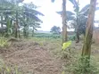 Land for Sale in Wakiso - 80M (Mabombwe) & Gayaza - 160M - 3