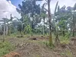 Land for Sale in Wakiso - 80M (Mabombwe) & Gayaza - 160M - 4