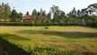 5-Bedroom Mansion for Sale in Seeta-Namuganga - 3