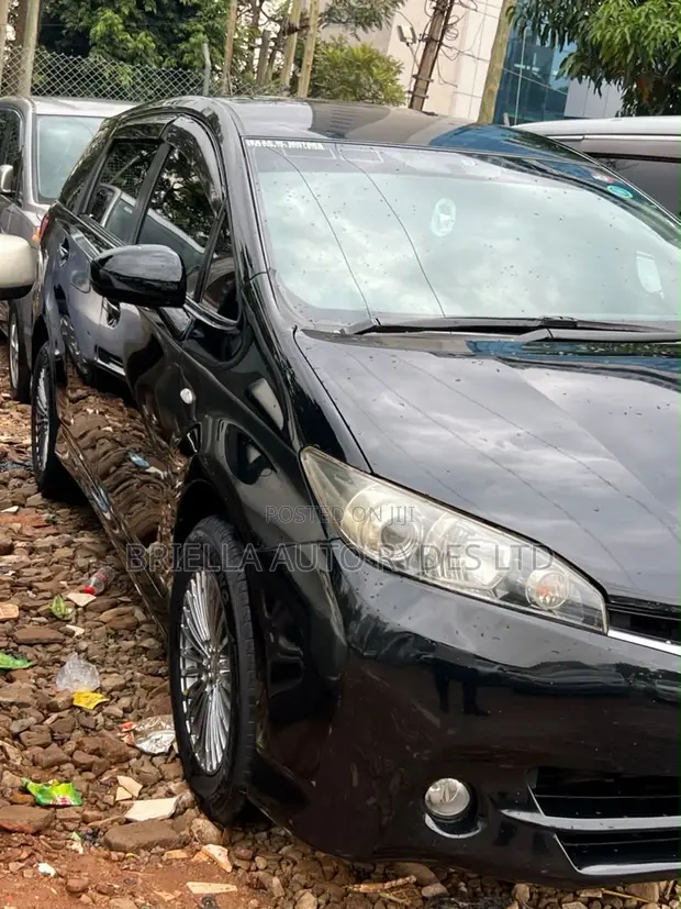 Toyota Wish 2010 Black - 1