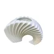 Creative Curved Shell Mix Decorative Vases - 1