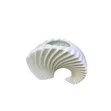Creative Curved Shell Mix Decorative Vases - 2
