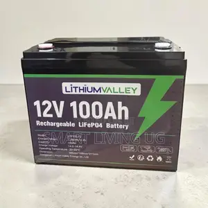 Lithium Valley 100Ah LiFePO4 Battery