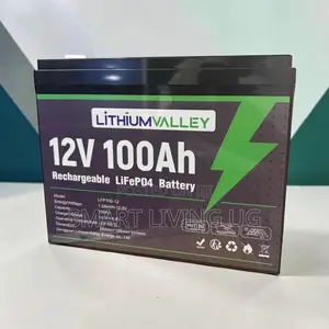 Lithium Valley 100Ah Solar Backup Battery