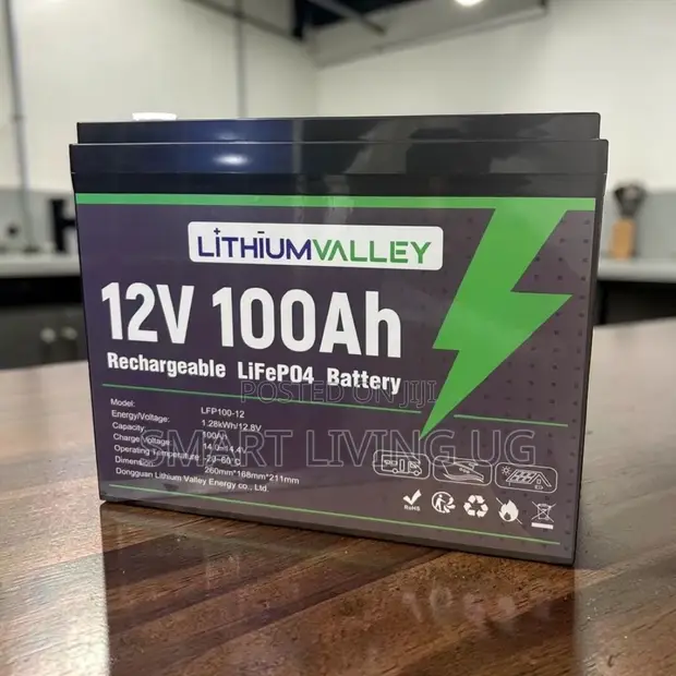 100Ah Lithium Valley LiFePO4 Battery - 1