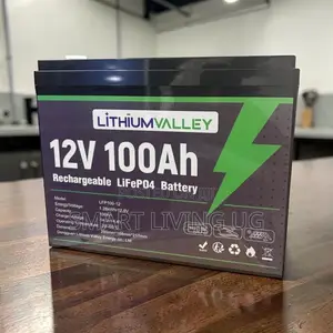 100Ah Lithium Valley LiFePO4 Battery
