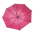 2-Fold Personal Rain/Sun Umbrella - 2