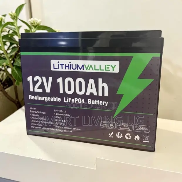 Lithium Valley 100Ah LiFePO4 Solar Battery - 1