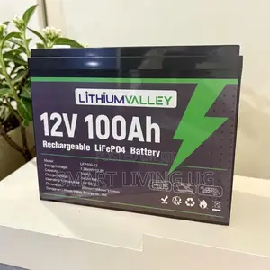 Lithium Valley 100Ah LiFePO4 Solar Battery