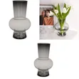 Smoke Belly Compact Tabletop Hydroponics Flower Pot - 2