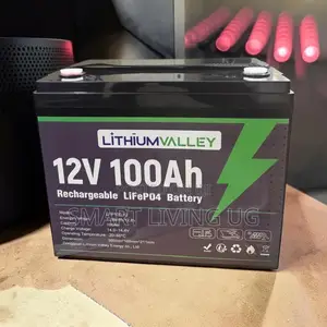 100Ah Lithium Valley Battery - 5-Year Warranty