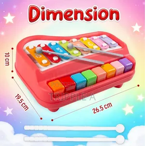 2-in-1 Musical Xylophone and Mini Piano for Kids