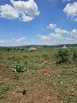 Prime Residential Plots for Sale, Nampunge-Gobero, Kakiri - 1