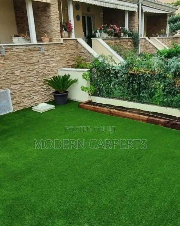 Dermic Artificial Turf - 1