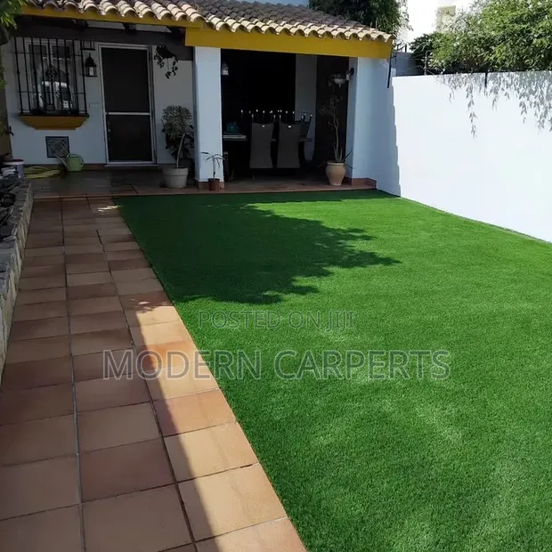 Arctic Artificial Turf - 1