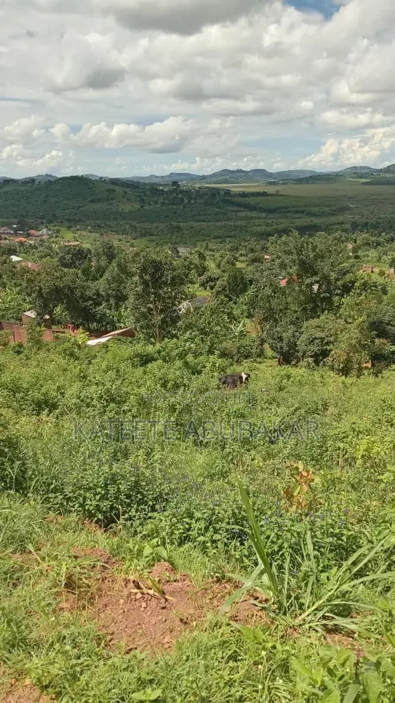 Half Acre Land for Sale in Mpambire, Mpigi - 1