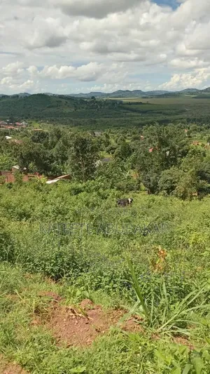 Half Acre Land for Sale in Mpambire, Mpigi