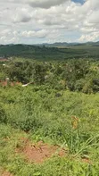 Half Acre Land for Sale in Mpambire, Mpigi - 1