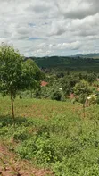 Half Acre Land for Sale in Mpambire, Mpigi - 2