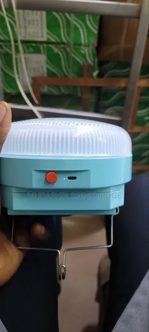 Rechargeable Electric Flat Iron