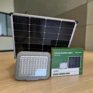 Blue Carbon 500W Solar Flood Light