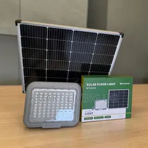 500W Solar Floodlight - Blue Carbon Green Box Edition