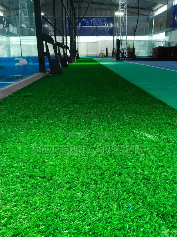 Artificial Turf - Indoor/Outdoor - 1