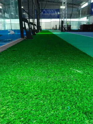 Artificial Turf - Indoor/Outdoor