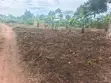 Land for Sale - Namugongo Budugala (Mpoma Estates Road) - 2