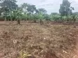 Land for Sale - Namugongo Budugala (Mpoma Estates Road) - 3