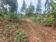 Land for Sale - Namugongo Budugala (Mpoma Estates Road) - 4