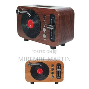 FM Radio with Bluetooth Speaker, TF, USB, AUX, Rechargeable