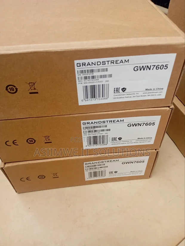 Grandstream GWN7605 Long Range Access Point - 1
