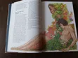 The Children's Bible CEV - Contemporary English Version - 4