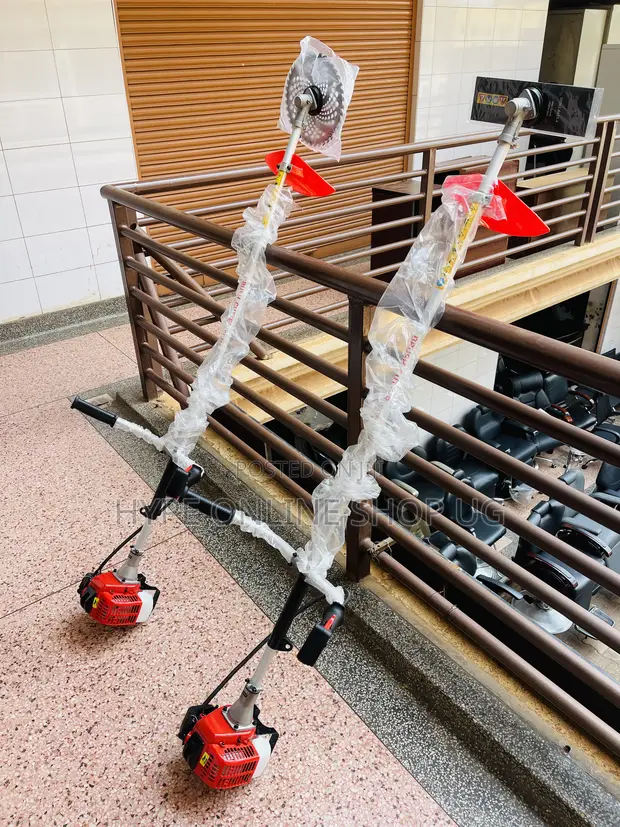 Electromax Energetic Fuel Brush Cutter/Slasher - 1