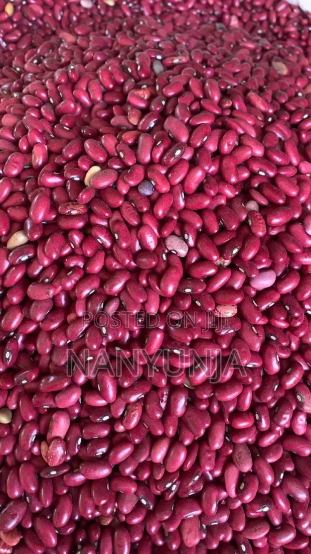 Red Beans (Wayilimu) - 1
