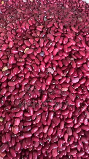 Red Beans (Wayilimu)